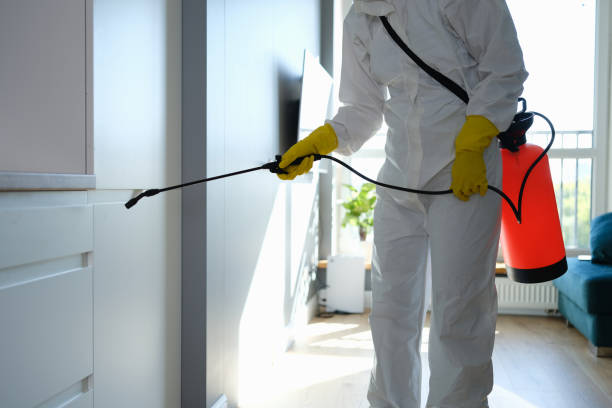 Best Mold Remediation for Schools in Yorkshire, VA